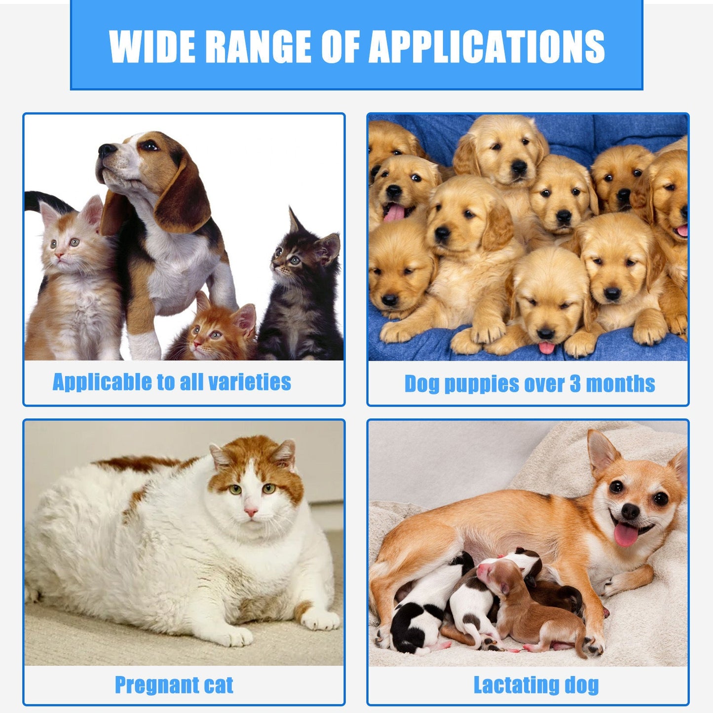 Pet Wound Care Spray