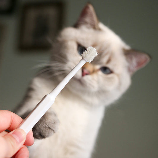 Pet Dog Cat Toothbrush