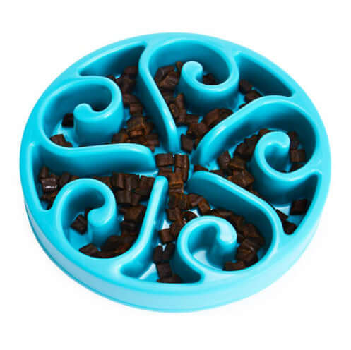 Pet Slow Food Bowl Anti-choking Food Apparatus