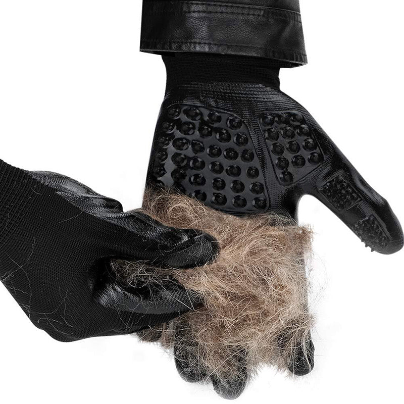 Pet Hair Grooming Glove gently removing cat fur