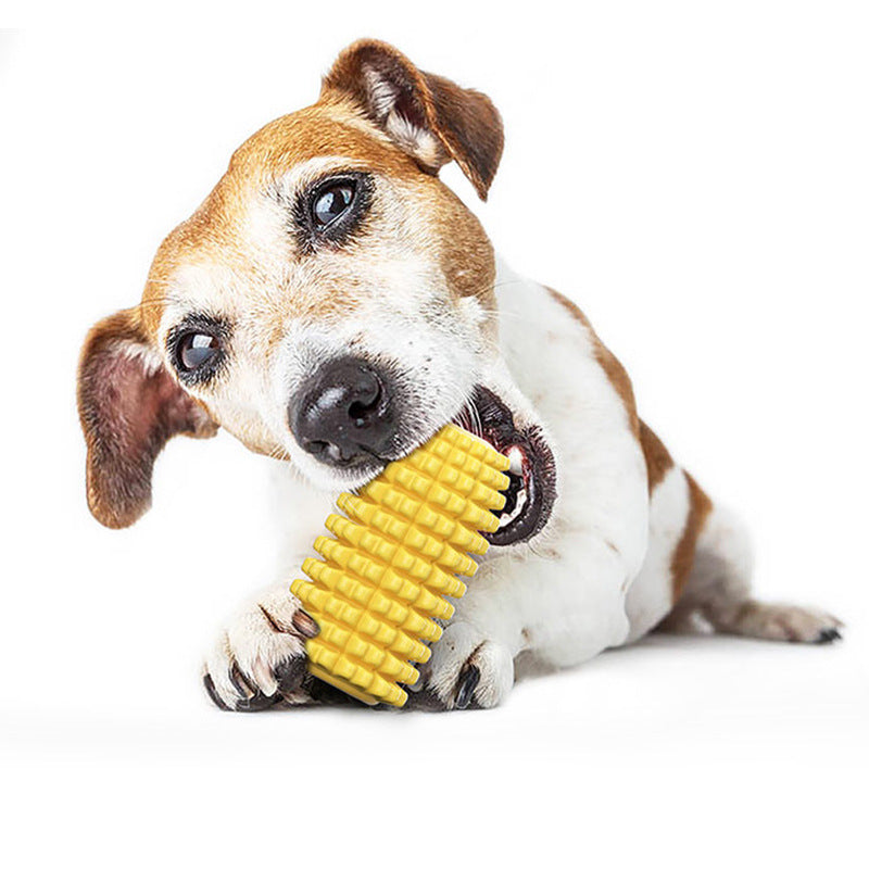 Dog Corn Molar Stick
