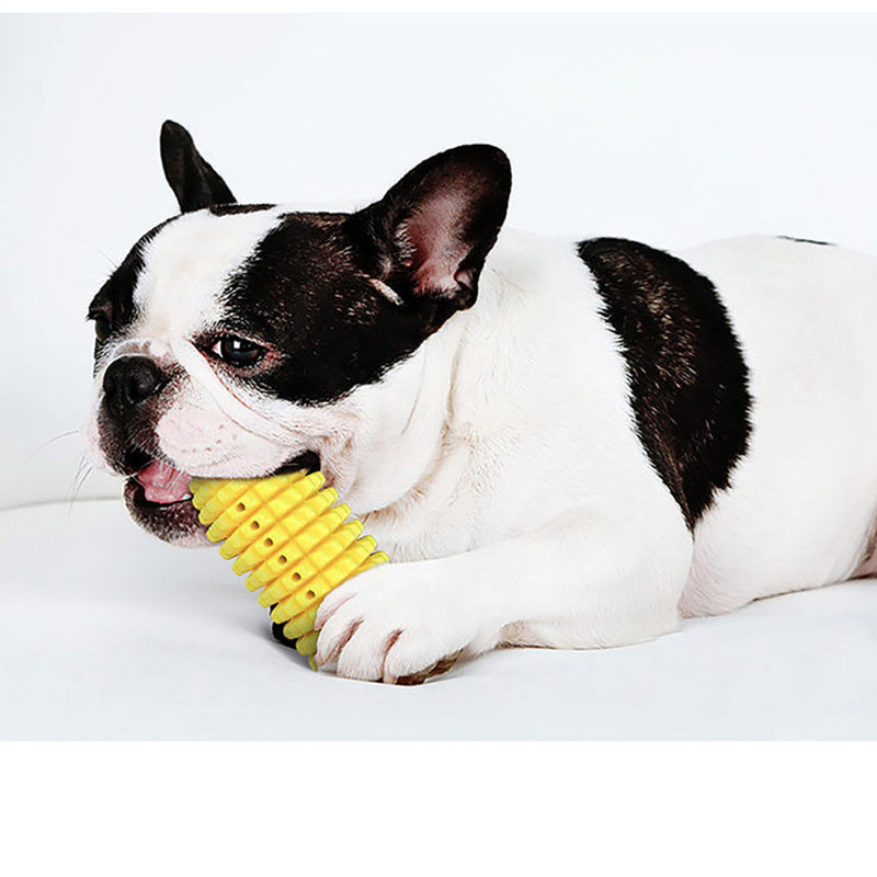 Dog Corn Molar Stick