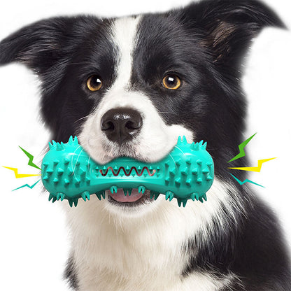 Dog Corn Molar Stick