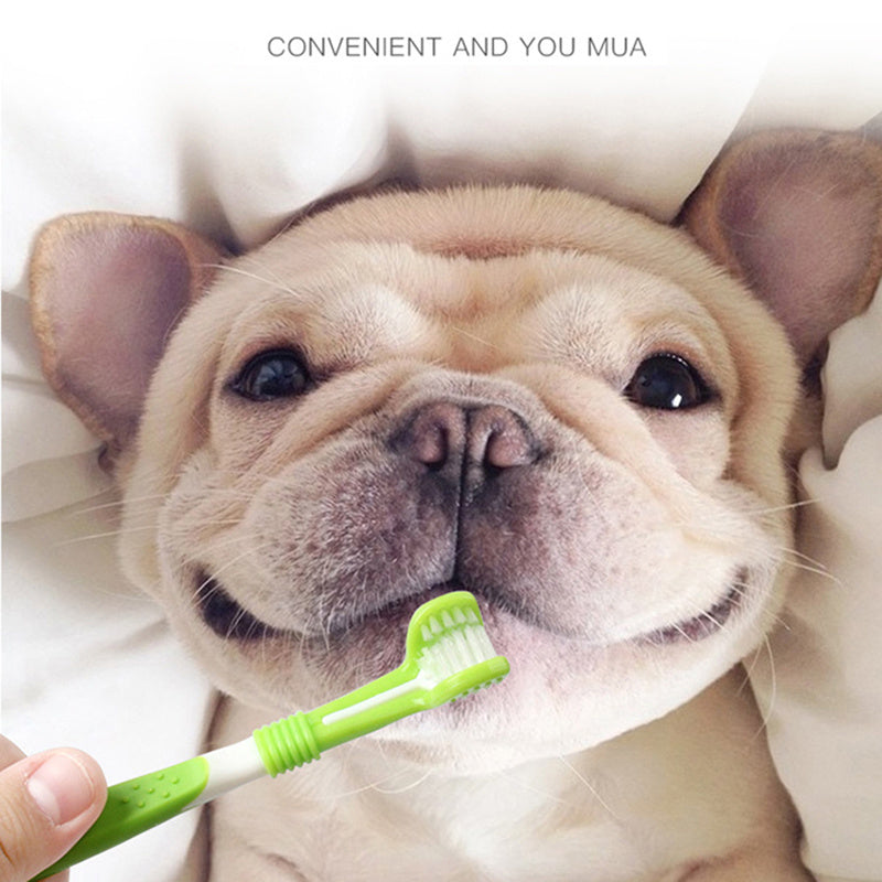 Pet Silicone Finger