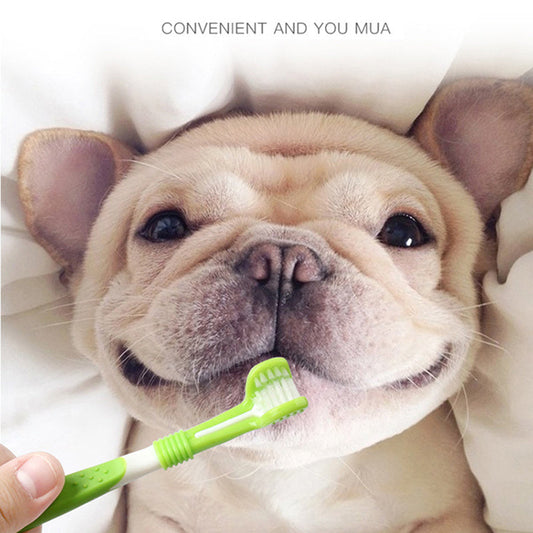 Pet Silicone Finger