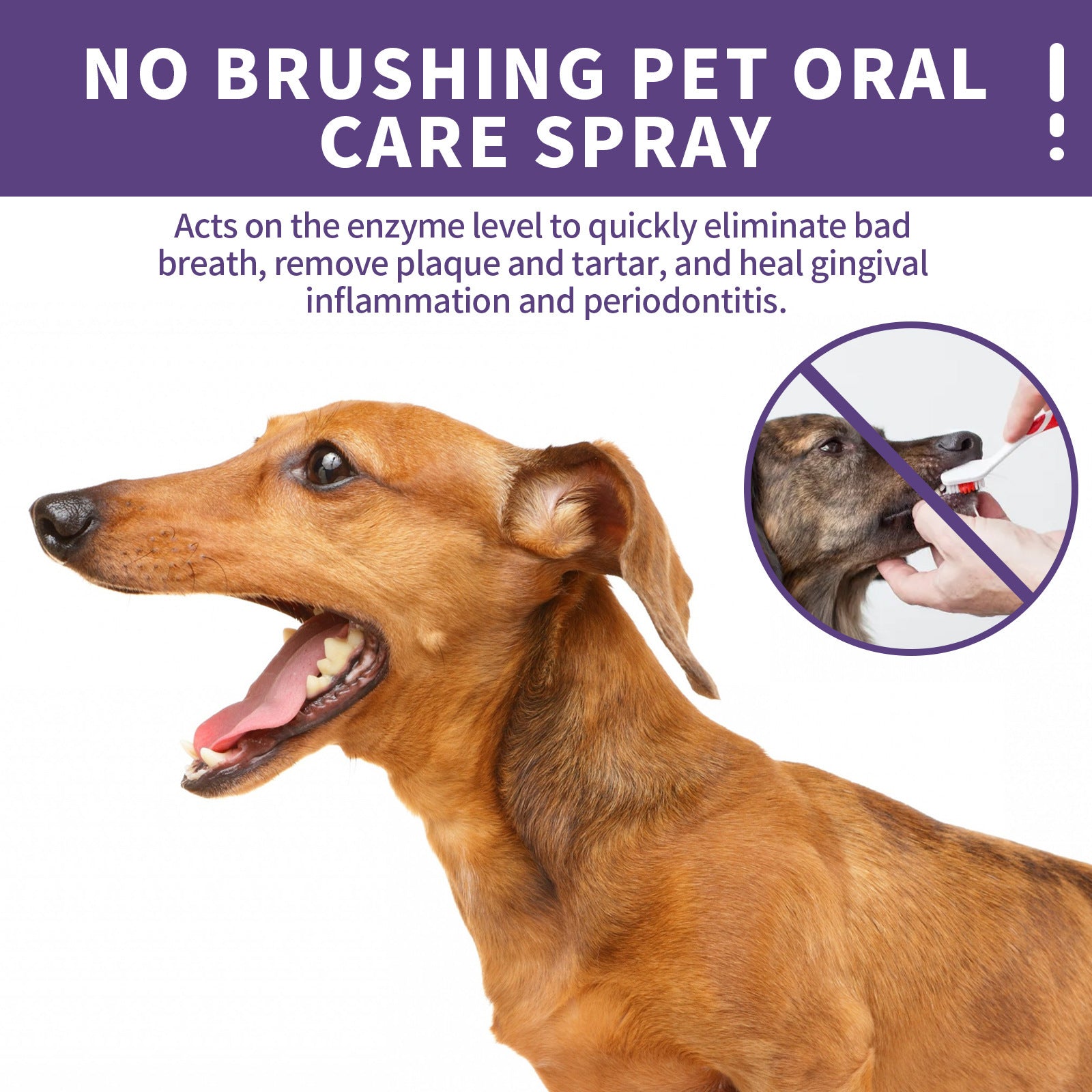 Pet Dog Cat Teeth Cleaning Spray