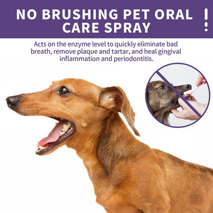 Pet Dog Cat Teeth Cleaning Spray
