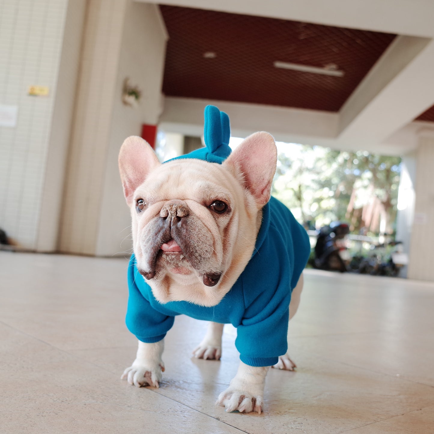 Pet Apparel Embroidery Cartoon Hooded Vest
