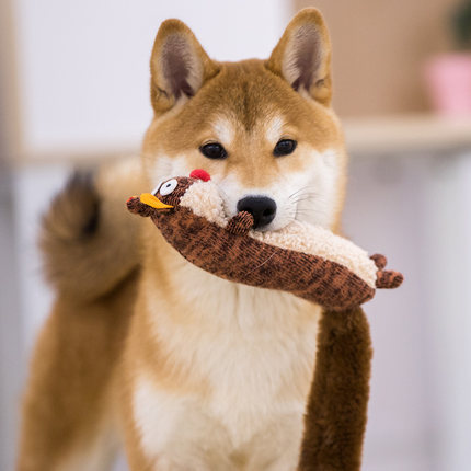 Animal Skin Toys Pet