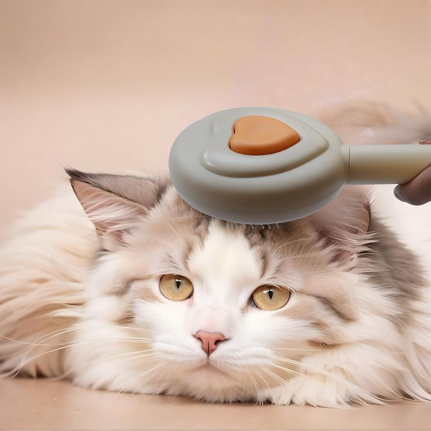 Pet Beauty Hair Removal