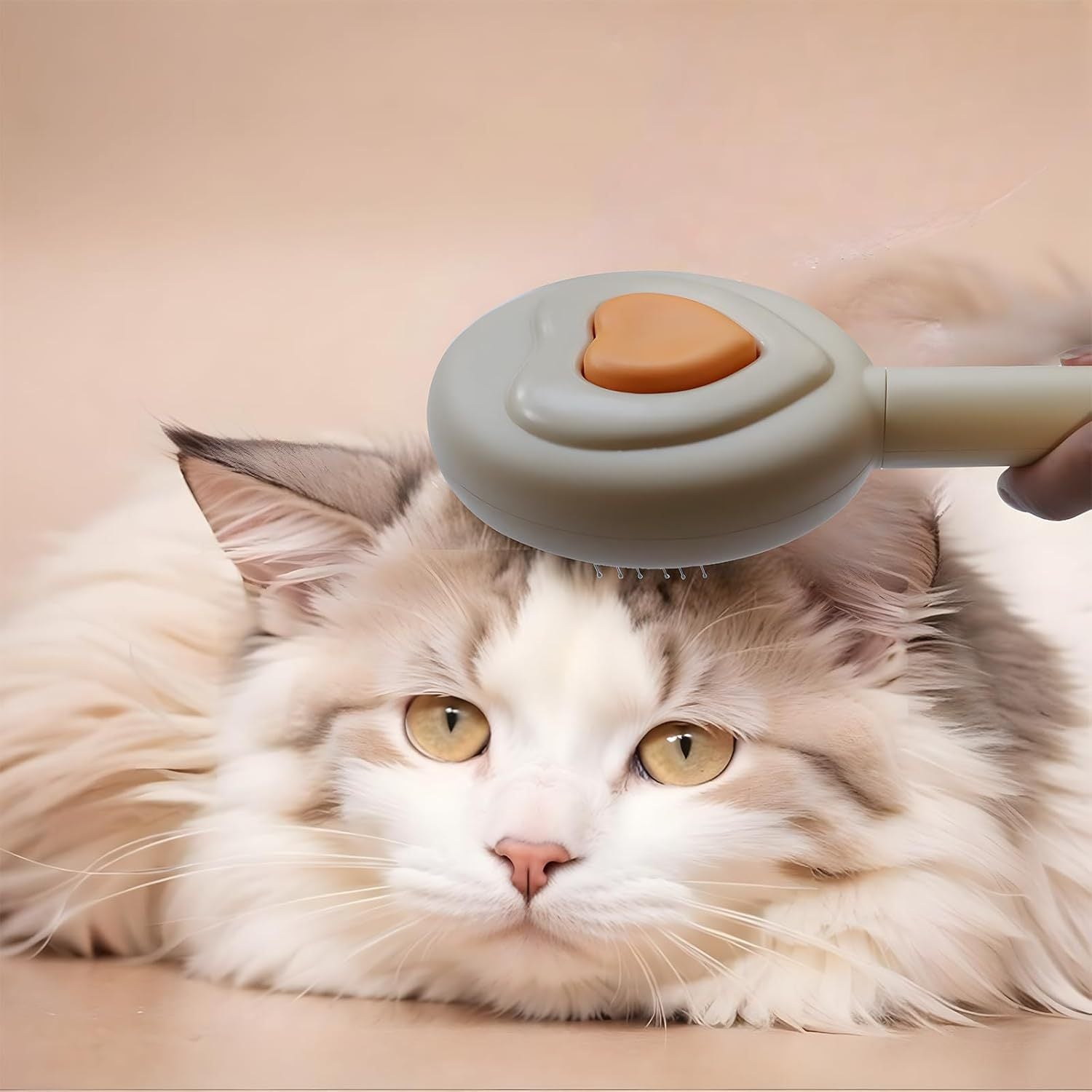 Pet Beauty Hair Removal