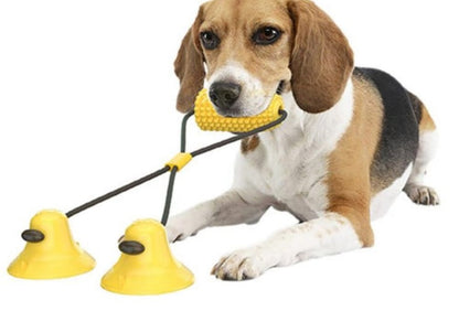 Dog Corn Molar Stick