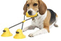 Dog Corn Molar Stick