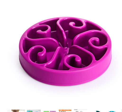 Pet Slow Food Bowl Anti-choking Food Apparatus