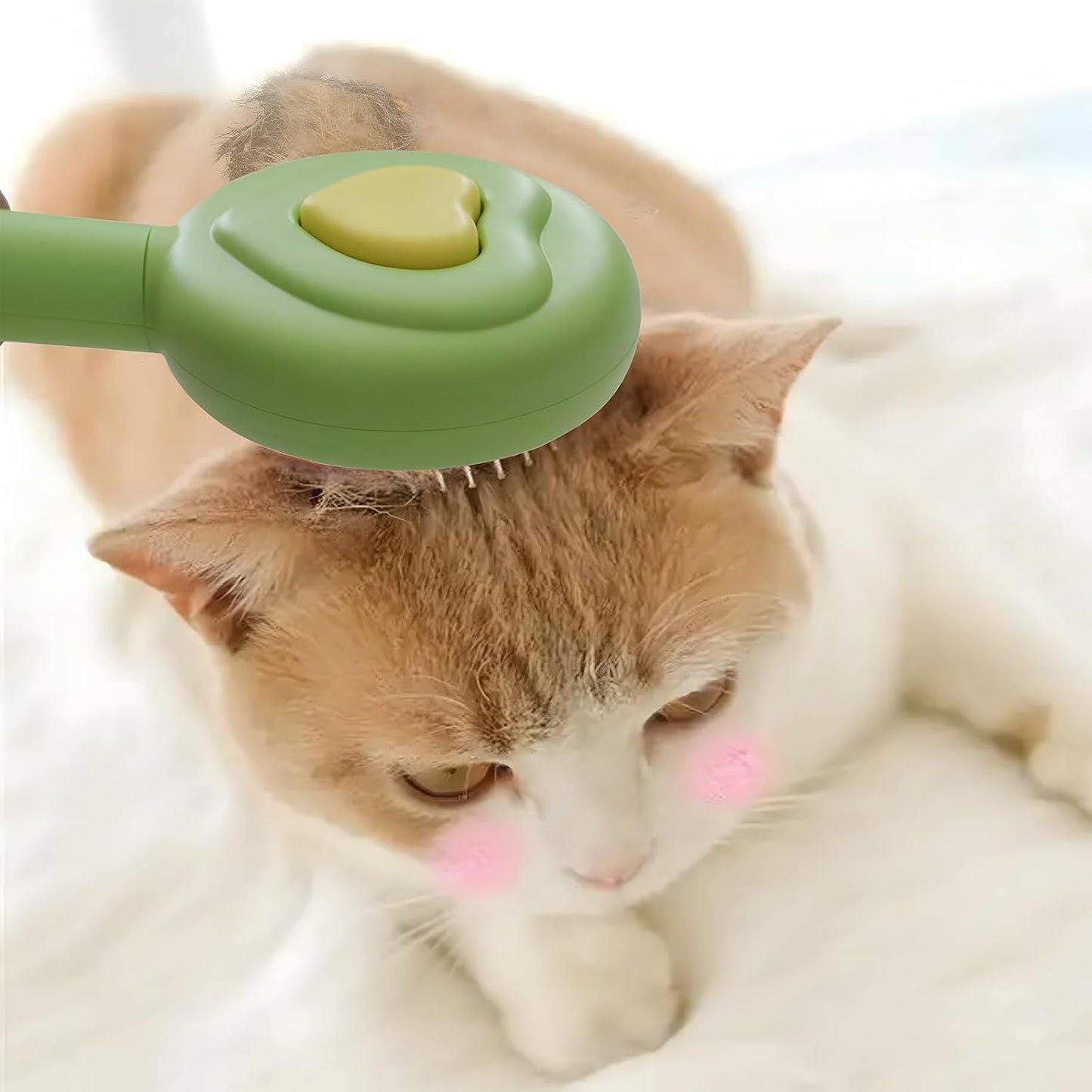 Pet Beauty Hair Removal