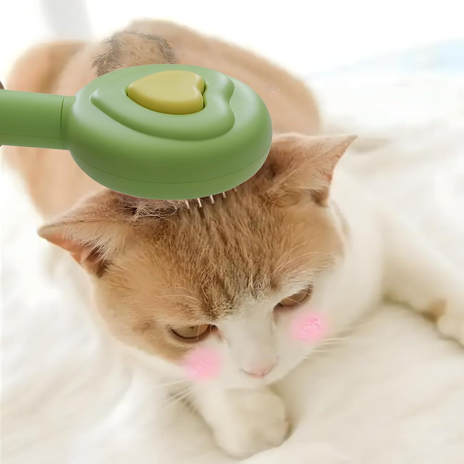 Pet Beauty Hair Removal