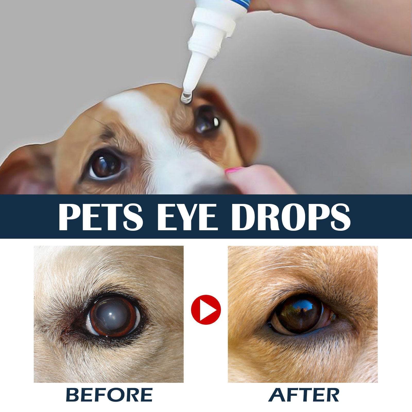 Pet Eye Drops