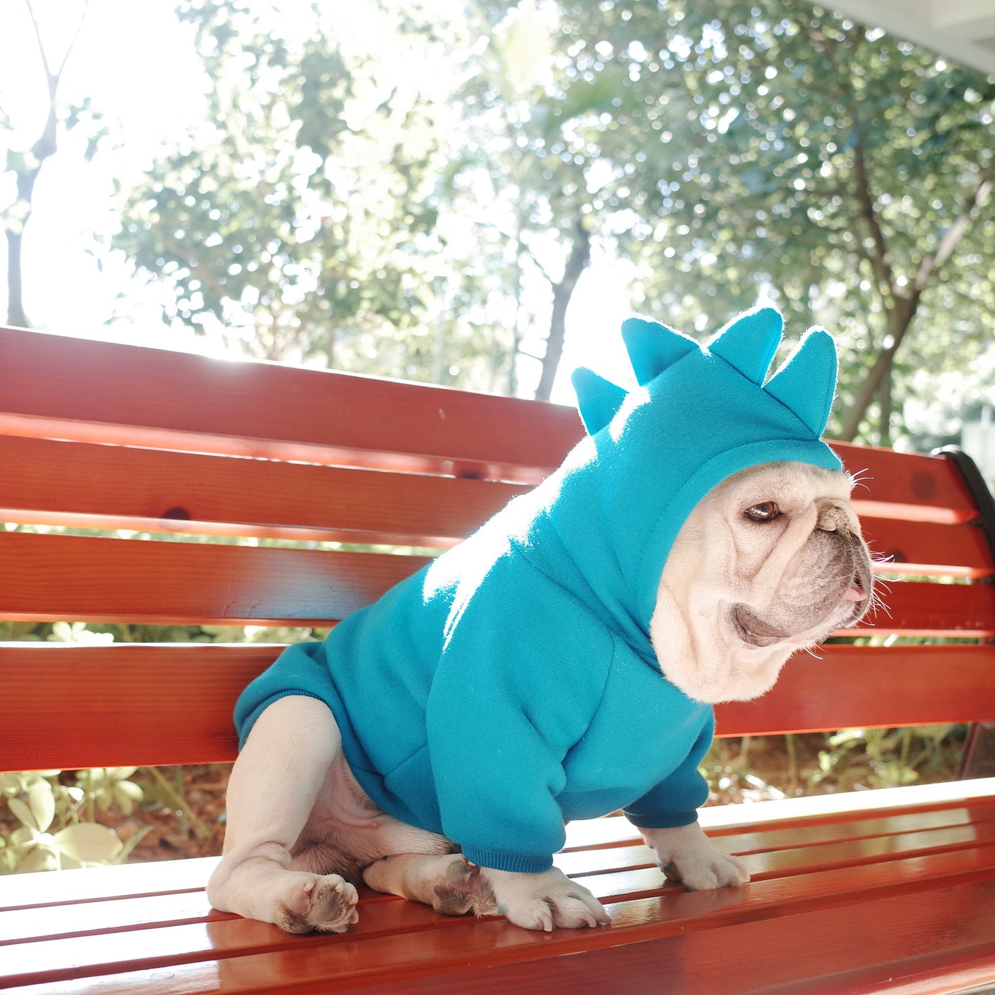 Pet Apparel Embroidery Cartoon Hooded Vest