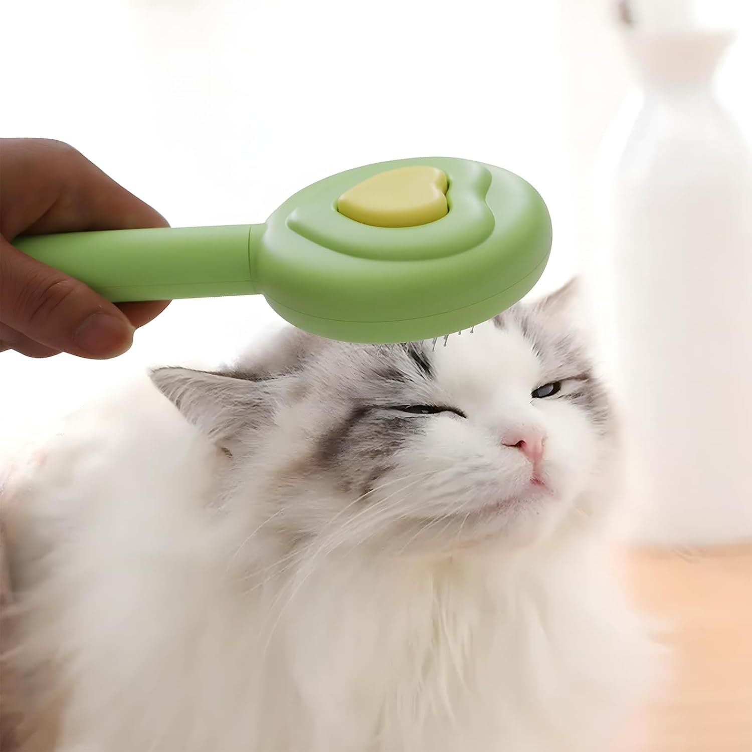 Pet Beauty Hair Removal