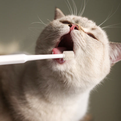 Pet Dog Cat Toothbrush