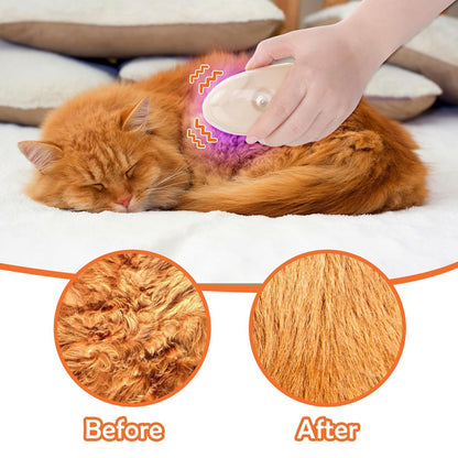 Cat Steam Brush for Shedding – 4 in 1 Steamy Grooming Tool