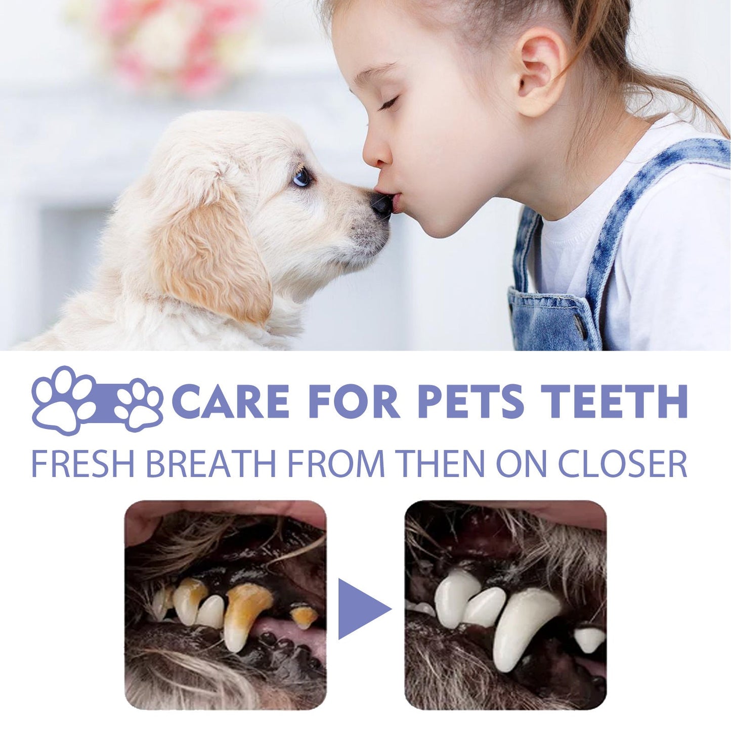 Pet Dog Cat Teeth Cleaning Spray